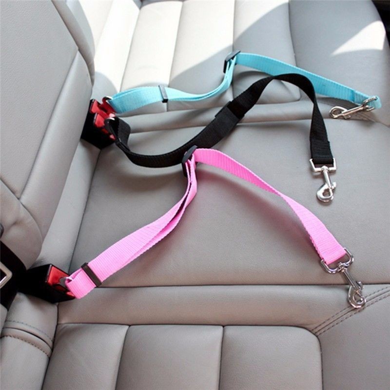Pas bezpieczeństwa dla kota do – Swing Seat Belt recenzja i cena