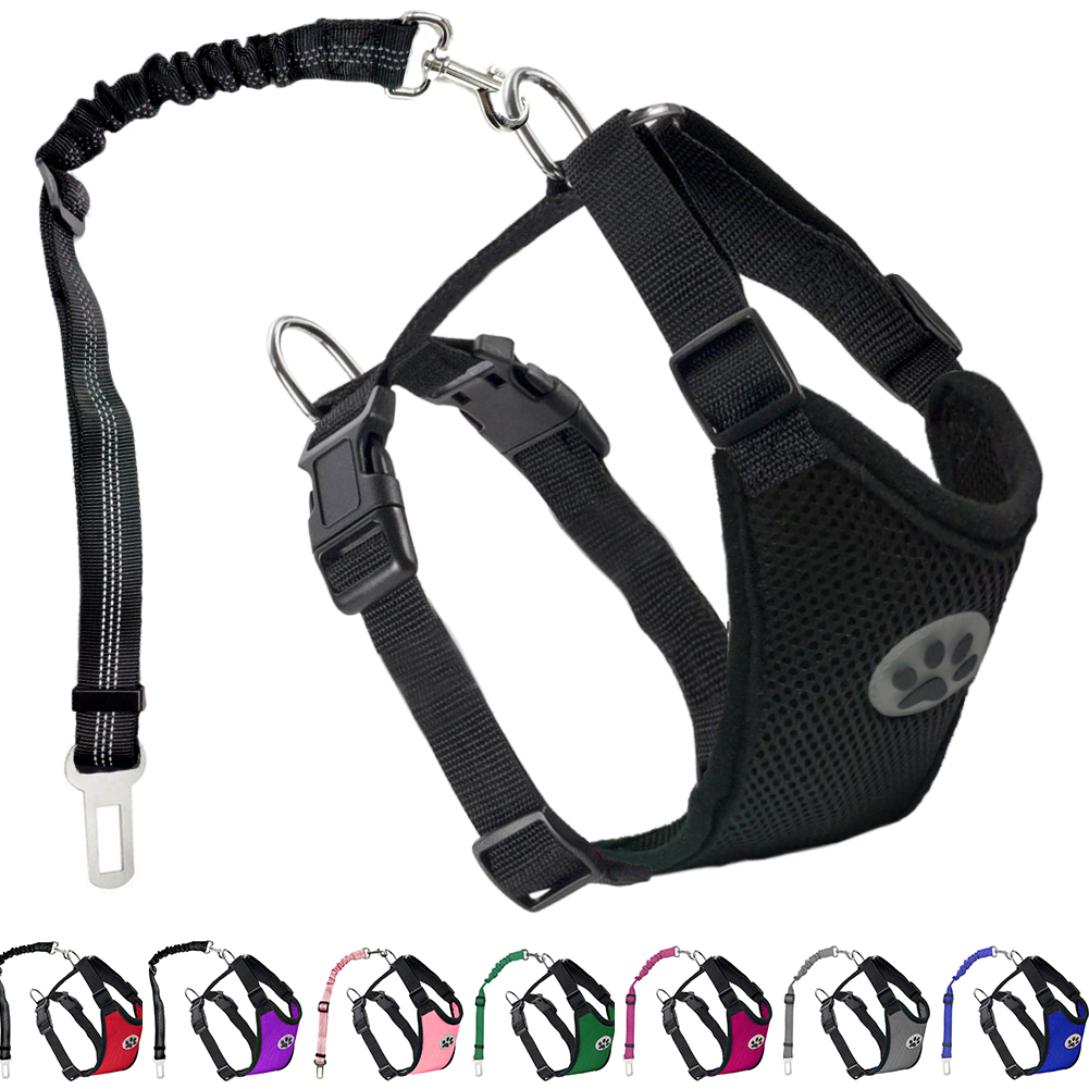 Uprząż pasa bezpieczeństwa dla – Swing Seat Belt recenzja i cena